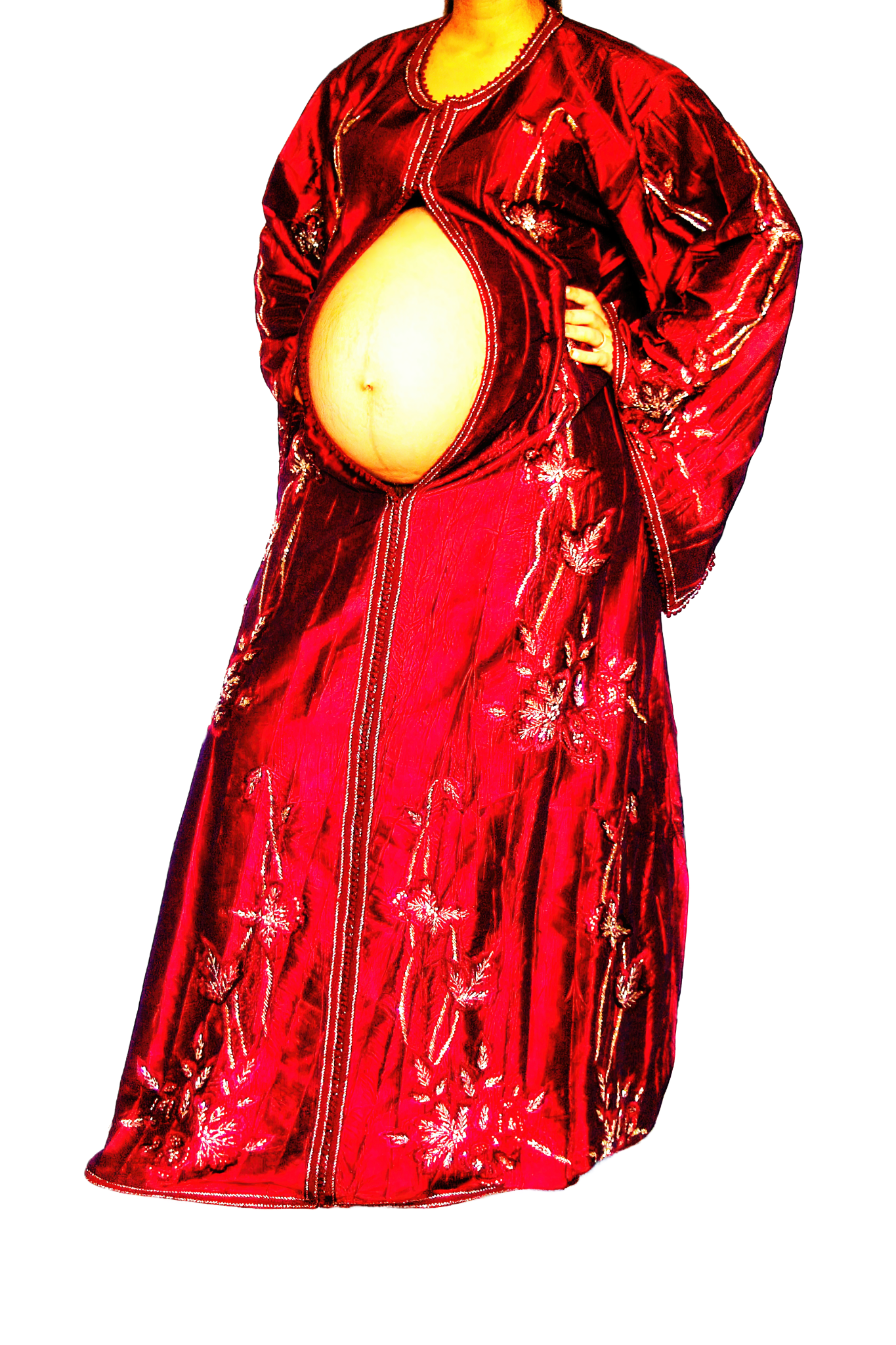 Le Corps Pansant - 2009